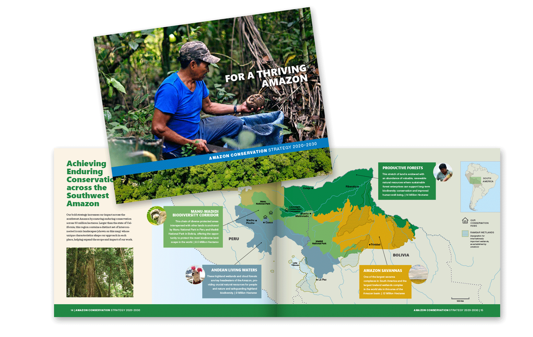 Amazon Conservation // Strategy Report