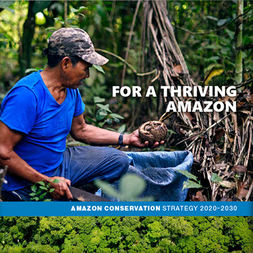 Amazon Conservation // Strategy Report